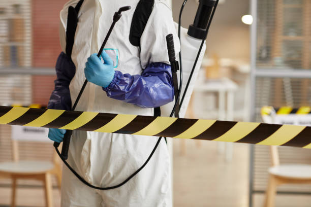Professional Sewage Cleanup technician working in Lewisville, WA